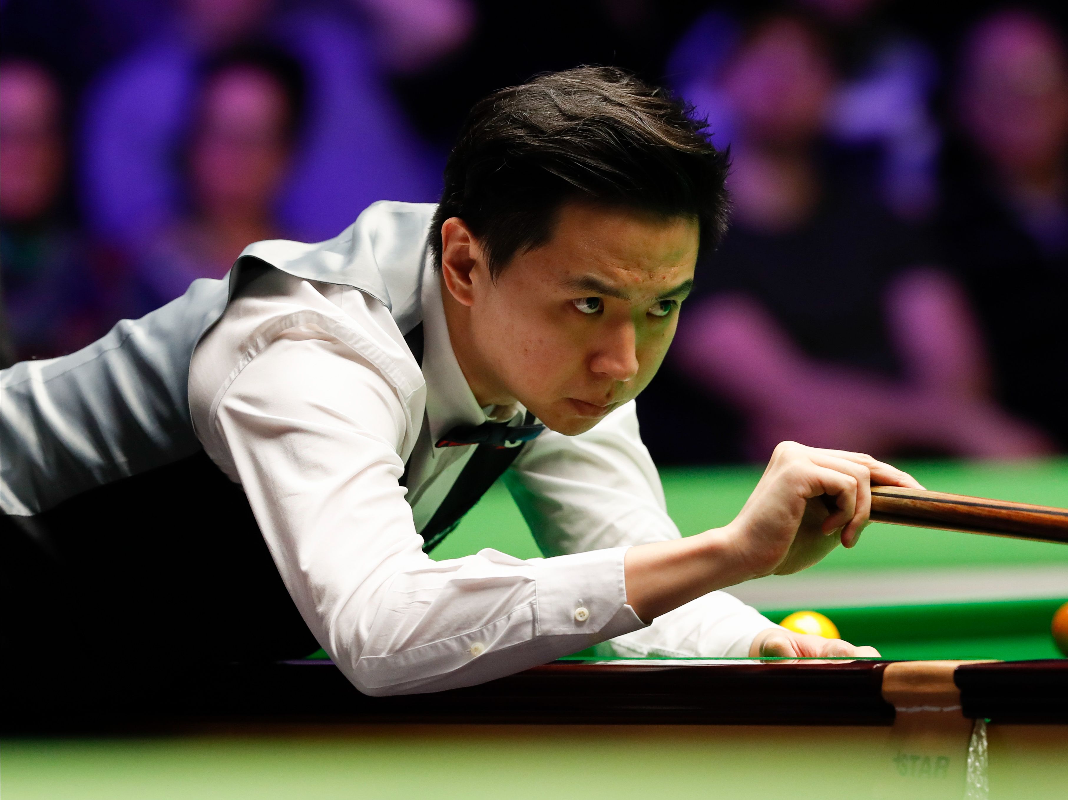 職業生涯 職業生涯