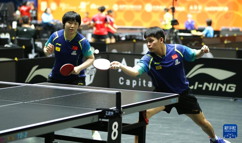 职业生涯的 职业生涯的